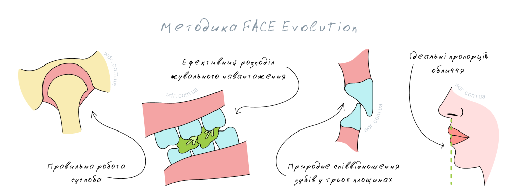 Суть подхода FACE Evolution