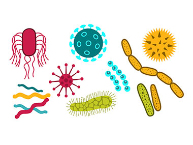 Гигиена полости рта с брекет системой