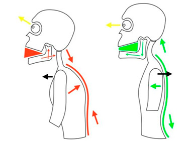 исправление прикуса в Киеве